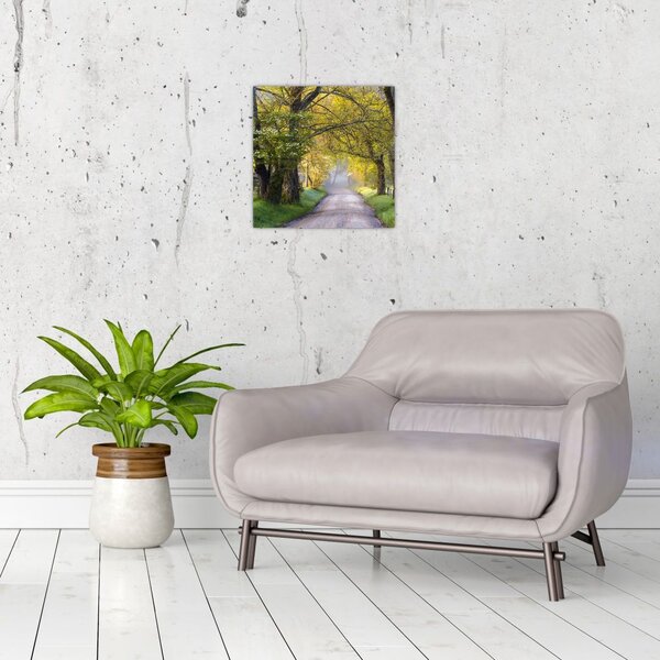 Obraz - Smoky Mountains, Gatlinburg, USA (30x30 cm)
