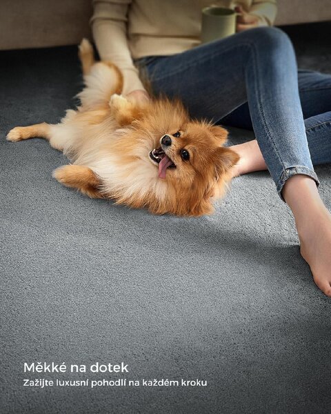 SONGMICS Protiskluzový koberec DARVIN 200 x 290 cm světle šedý