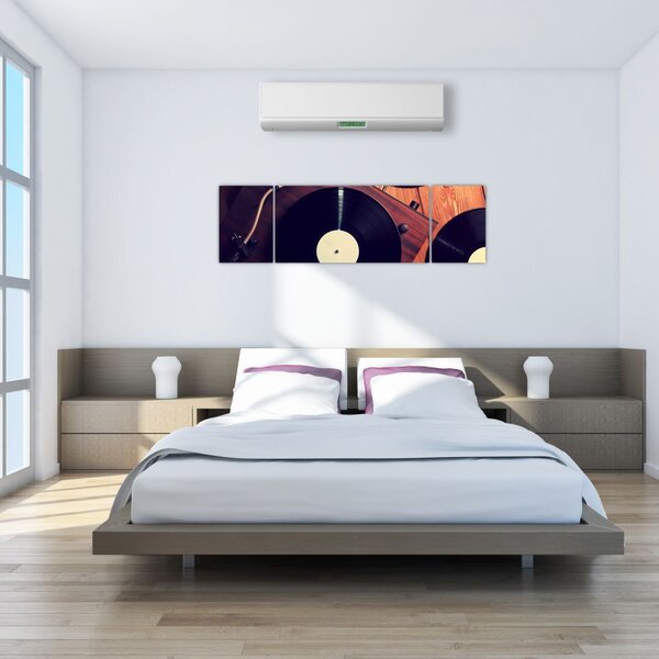 Obraz gramofonových desek (170x50 cm)