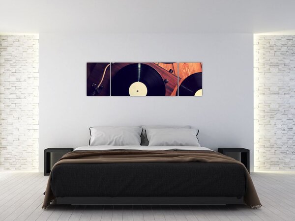 Obraz gramofonových desek (170x50 cm)