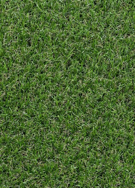 Breno Umělá tráva GIARDINO, šíře role 400 cm