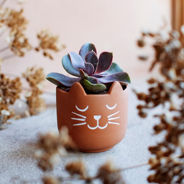 Terakotový obal na květináč Cat's Whiskers Mini