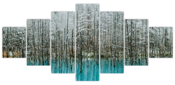 Obraz - Tyrkysový rybník, Biei, Japonsko (210x100 cm)
