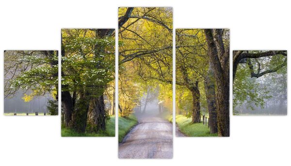 Obraz - Smoky Mountains, Gatlinburg, USA (125x70 cm)