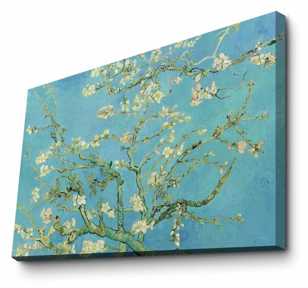 ASIR Obraz na plátně reprodukce ALMOND BLOSSOM V. V. GOGH 100cm