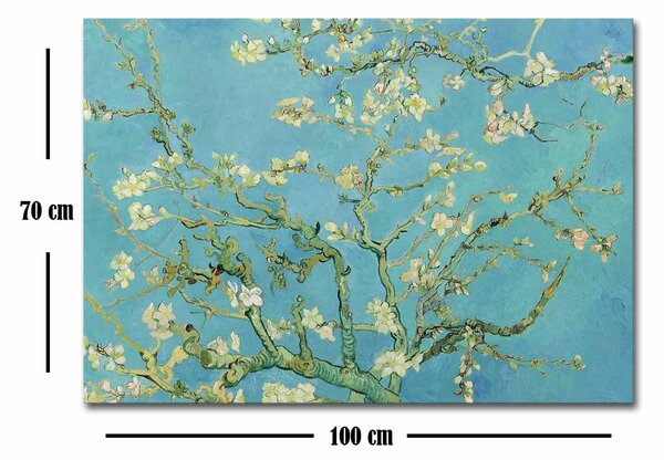 ASIR Obraz na plátně reprodukce ALMOND BLOSSOM V. V. GOGH 100cm