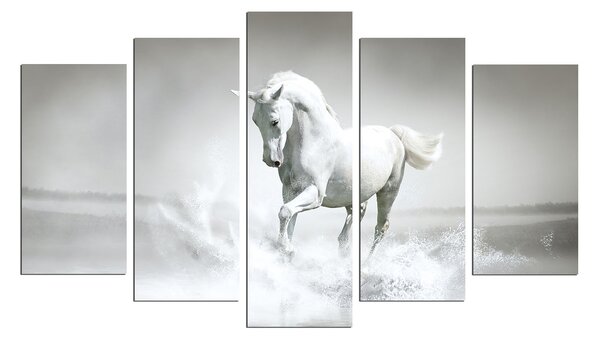 ASIR Sada obrazů BÍLÝ KŮŇ 110 cm MDF
