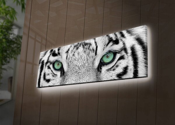 ASIR Dekorativní obraz na plátně s led podsvícením BÍLÝ TYGR 30 cm