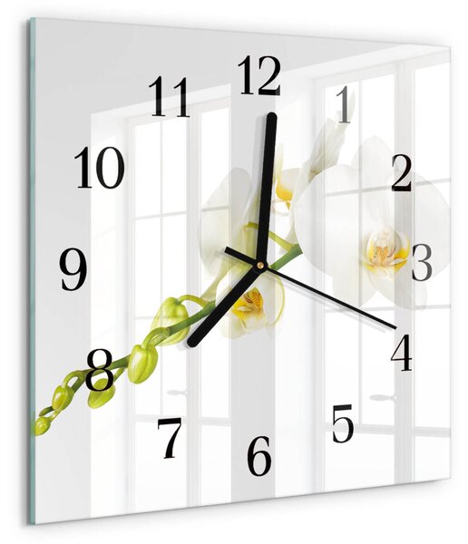 Skleněné hodiny na stěnu Orchidej zskc-30x30-00178418