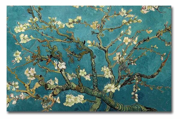 ASIR Obraz na plátně reprodukce ALMOND BLOSSOM V. V. GOGH 45 cm