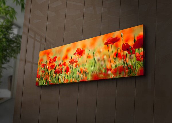 ASIR Nástěnný obraz na plátně VLČÍ MÁKY s led osvětlením 30 cm