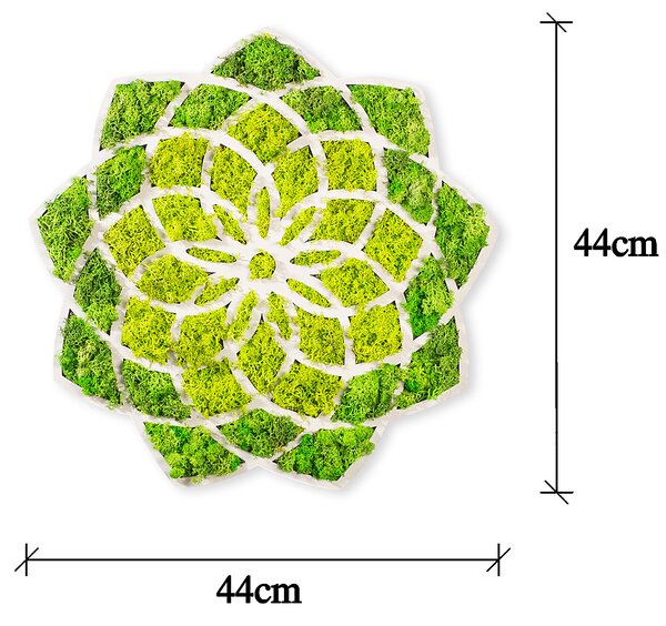 ASIR Nástěnná mechová dekorace SLUNCE 44 cm MDF