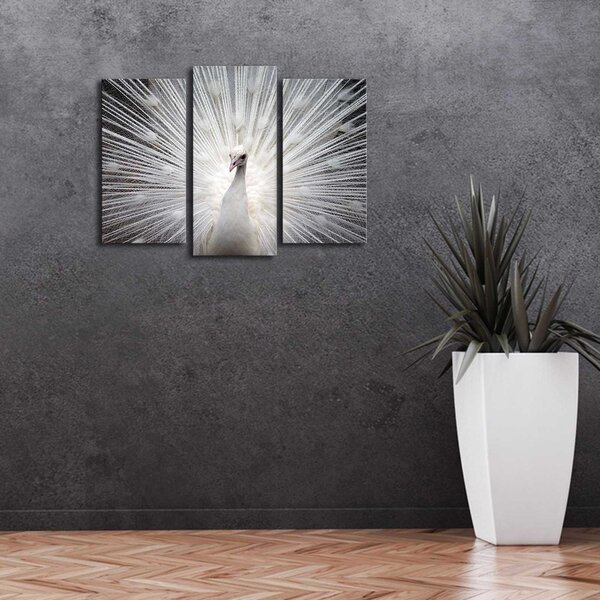 ASIR Nástěnný obraz na plátně PÁV s led osvětlením 66 cm