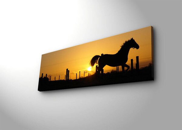 ASIR Obraz na plátně s led osvětlením KŮŇ 30 cm