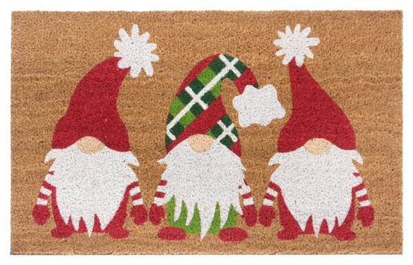 Rohožka Mix Mats Cocos 105674 45x75 cm