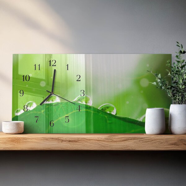 Skleněné hodiny horizontální Rosa na listu zsppc-60x30-00295361