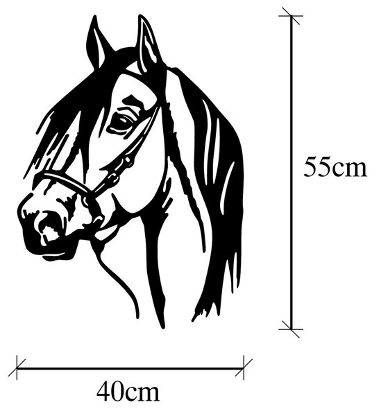 ASIR Kovová nástěnná dekorace HLAVA KONĚ 40 cm