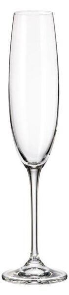 BOHEMIA FULICA SKLENICE NA ŠAMPAŇSKÉ 250ML SADA 6KS