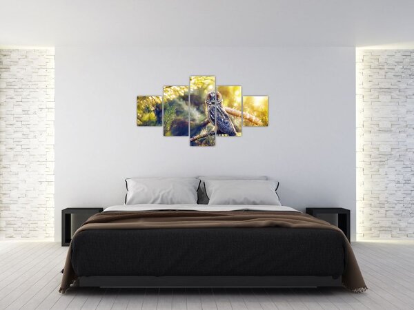 Obraz sovy na stromě (125x70 cm)