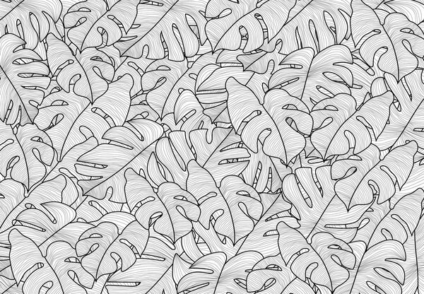 Fototapeta - Monstera listy (245x170 cm)