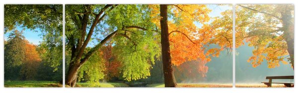 Obraz - Klidná podzimní krajina (170x50 cm)