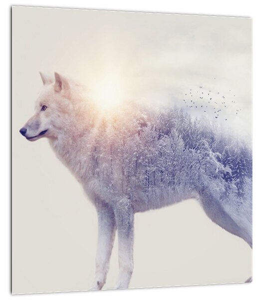 Obraz - Arktický vlk zrcadlící divokou krajinu (30x30 cm)