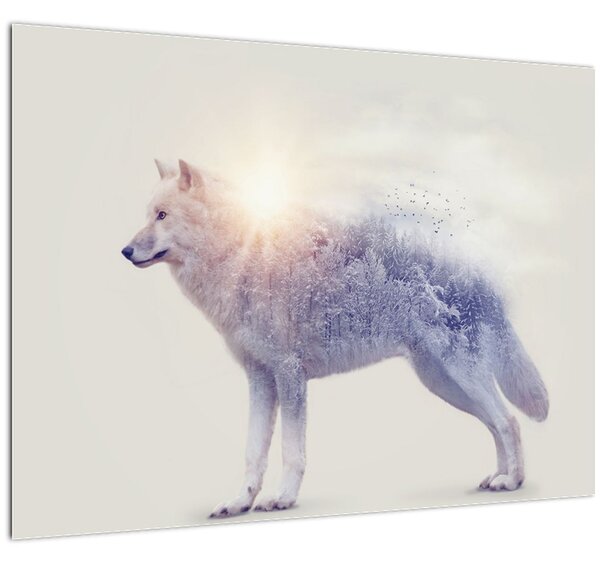 Obraz - Arktický vlk zrcadlící divokou krajinu (70x50 cm)