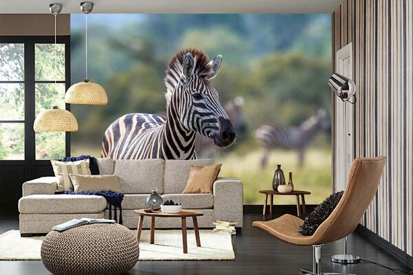 DIMEX | Vliesová fototapeta Zebra stepní MS-5-0456 | 375 x 250 cm| zelená, bílá, černá, hnědá
