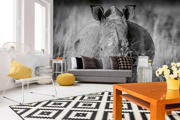 DIMEX | Vliesová fototapeta Nosorožec v trávě MS-5-0454 | 375 x 250 cm| bílá, černá