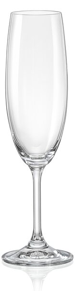 Crystalex Sklenice na sekt Lara 220 ml 6 ks