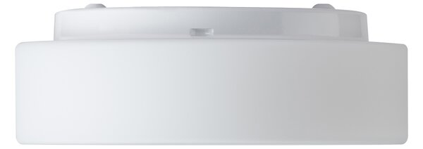 Osmont ELS71189 Elsa 1, kulaté stropní svítidlo z triplexového skla, 1x25W E27, prům. 25cm, IP65