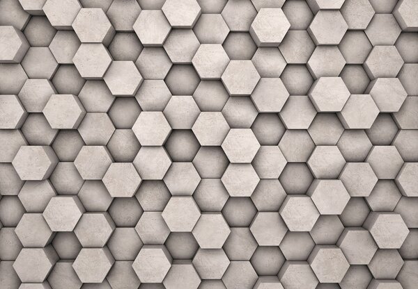 Fototapeta - Hexagony (245x170 cm)