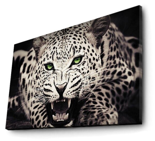ASIR Nástěnný obraz s led osvětlením BÍLÝ LEVHART 45 cm plátno