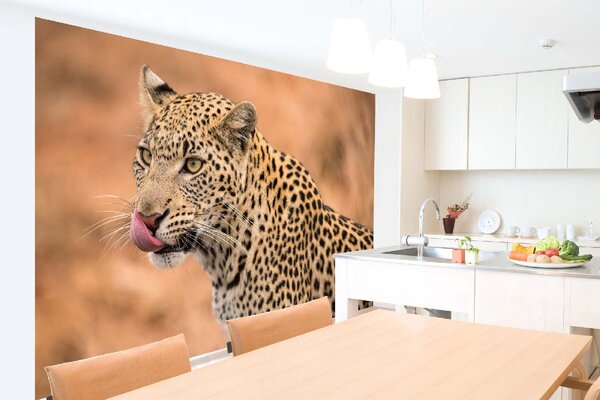 DIMEX | Vliesová fototapeta Samice leoparda MS-5-0561 | 375 x 250 cm| béžová, černá, oranžová, hnědá