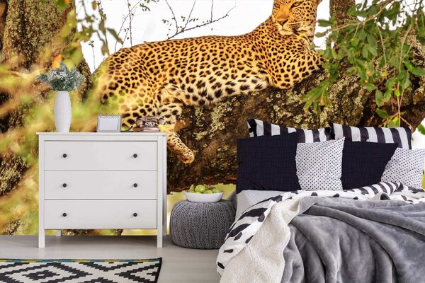 DIMEX | Vliesová fototapeta Africký leopard MS-5-0571 | 375 x 250 cm| zelená, černá, hnědá