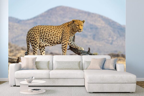 DIMEX | Vliesová fototapeta Leopard v Dusternbrooku MS-5-0603 | 375 x 250 cm| černá, žlutá, hnědá