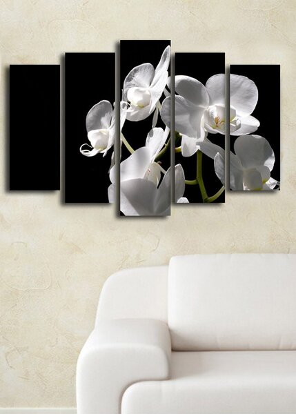 ASIR Sada nástěnných obrazů na plátně BÍLÁ ORCHIDEJ 105 cm