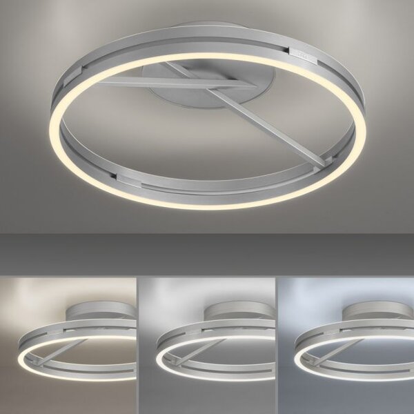 Paul Neuhaus Stropní LED svítidlo PURE Loop, pr.60cm, 7W+30W 2700-5000K, šedá