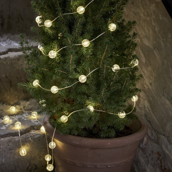 Star Trading LED řetěz BERRY 50 x LED, 5 m čirý