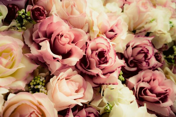 DIMEX | Vliesová fototapeta Starorůžové květiny MS-5-1286 | 375 x 250 cm| bílá, krémová, růžová