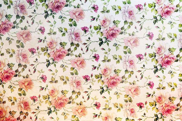 DIMEX | Vliesová fototapeta Malé růže MS-5-1287 | 375 x 250 cm| bílá, fialová, růžová