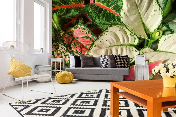 DIMEX | Vliesová fototapeta Aglaonema MS-5-1282 | 375 x 250 cm| zelená, červená, bílá