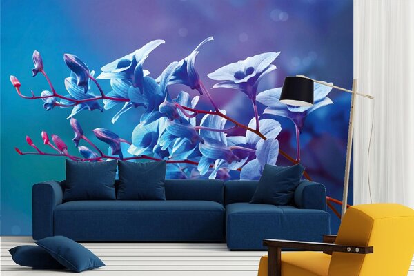 DIMEX | Vliesová fototapeta Modré orchideje MS-5-1312 | 375 x 250 cm| modrá, červená