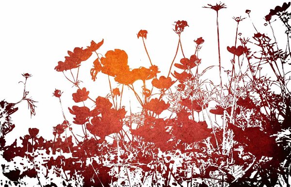 DIMEX | Vliesová fototapeta Květinová textura MS-5-1326 | 375 x 250 cm| červená, bílá, černá