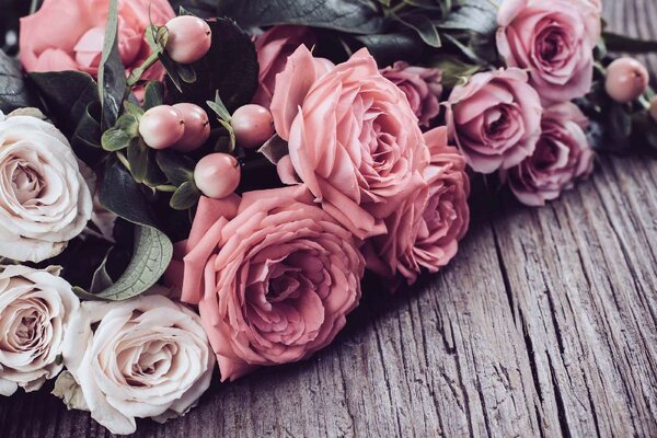 DIMEX | Vliesová fototapeta Růžové a béžové růže MS-5-1334 | 375 x 250 cm| bílá, hnědá, růžová