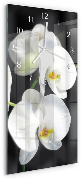 Skleněné hodiny vertikální Orchidej zsppb-30x60-00079101