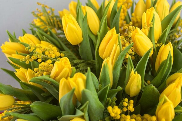 DIMEX | Vliesová fototapeta Kytice tulipánů MS-5-1369 | 375 x 250 cm| zelená, žlutá