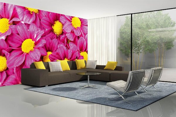 DIMEX | Vliesová fototapeta Růžové jiřiny MS-5-1385 | 375 x 250 cm| žlutá, růžová