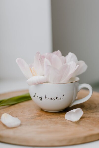Porcelánový hrnek Ahoj kráska 300 ml – SK