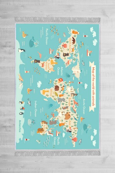 ASIR Koberec 80 x 150 MAPA více barev